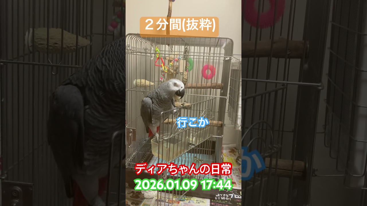 遊んで喉渇いた後