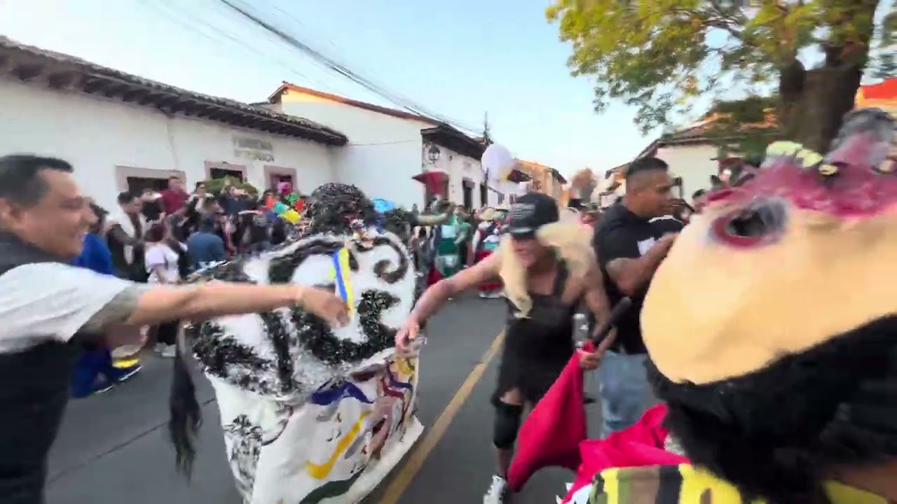 Torito de carnaval de la Colonia Ibarra 2025.