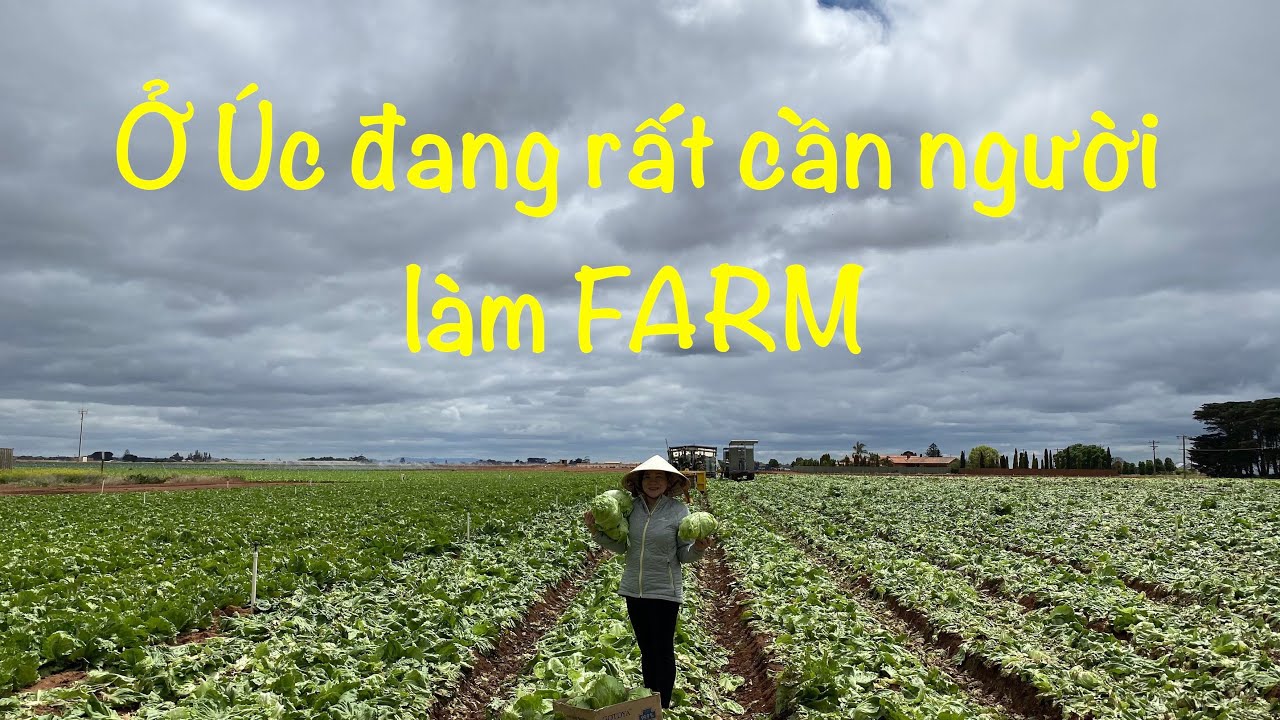 Cuộc sống Úc : Nước Úc đang rất cần người làm FARM