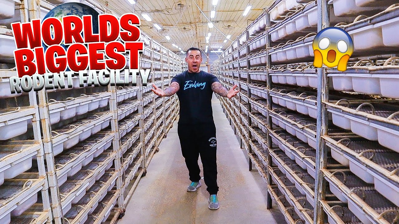 You Won’t Believe This Rodent Facility!
