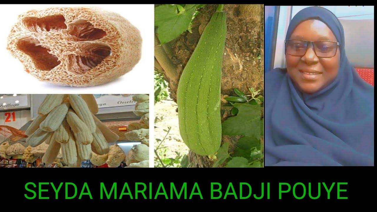 Comment faire un hammam à la maison? L'art du bain chaud seyda Mariama badji pouye