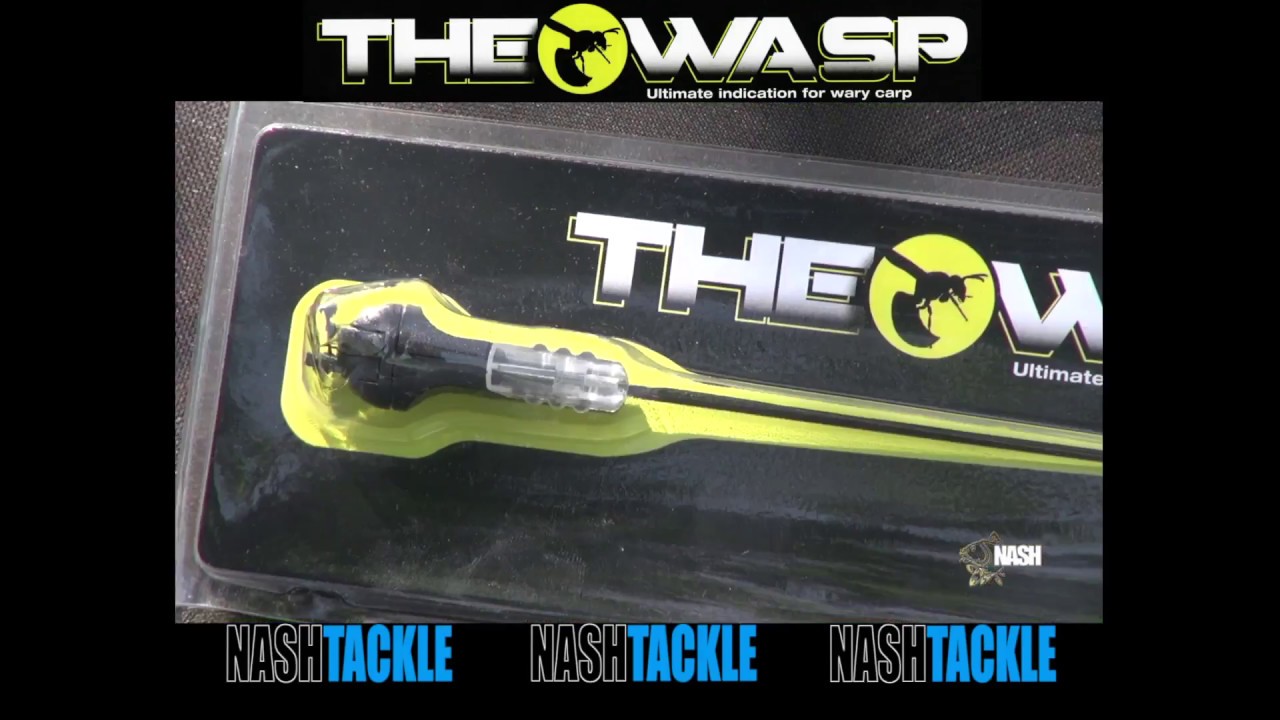 NASH WASP