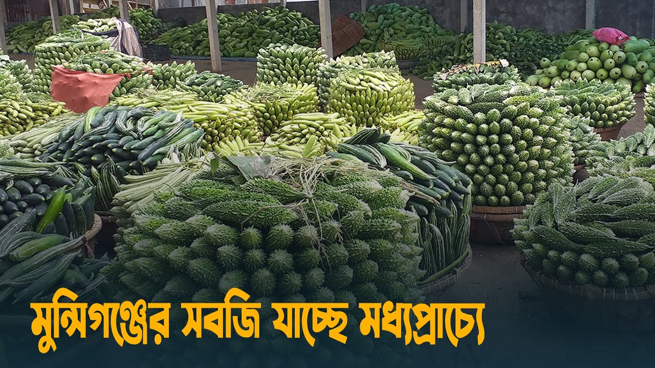 মুন্সিগঞ্জের সবজি যাচ্ছে মধ্যপ্রাচ্যে | Vegetable Market | Munshiganj | Dhaka Post