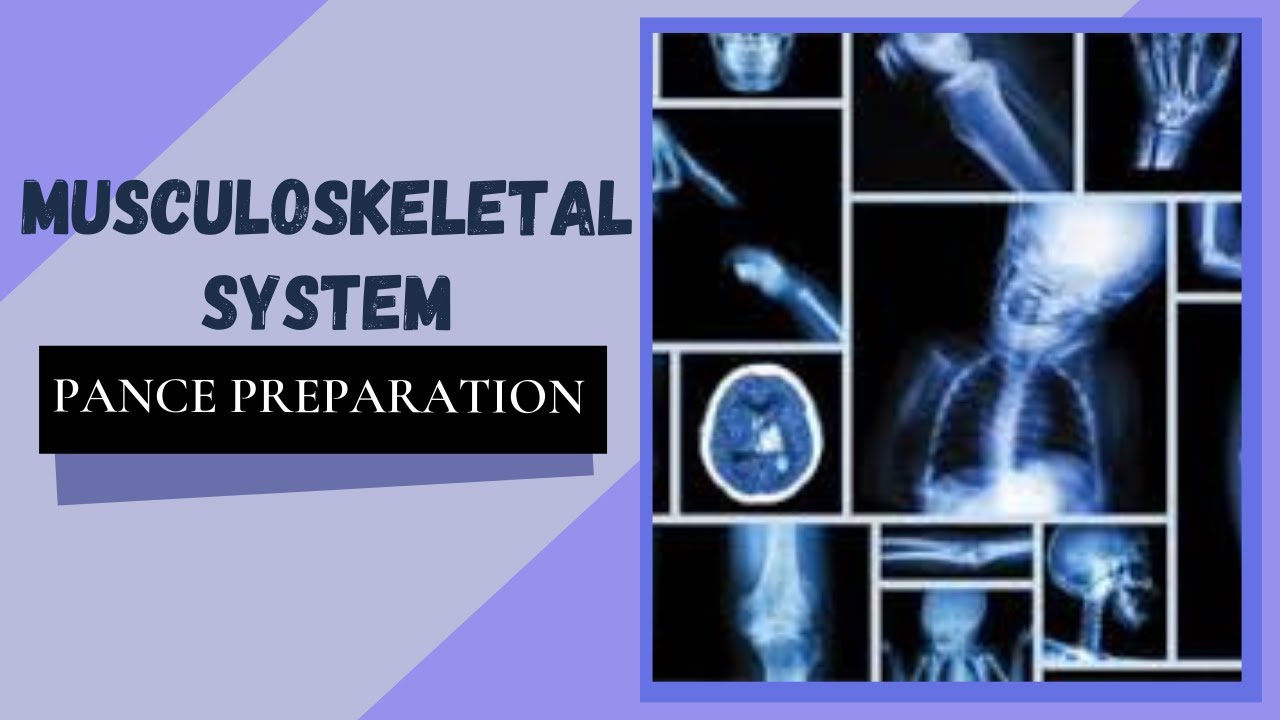 Musculoskeletal System: PANCE Preparation