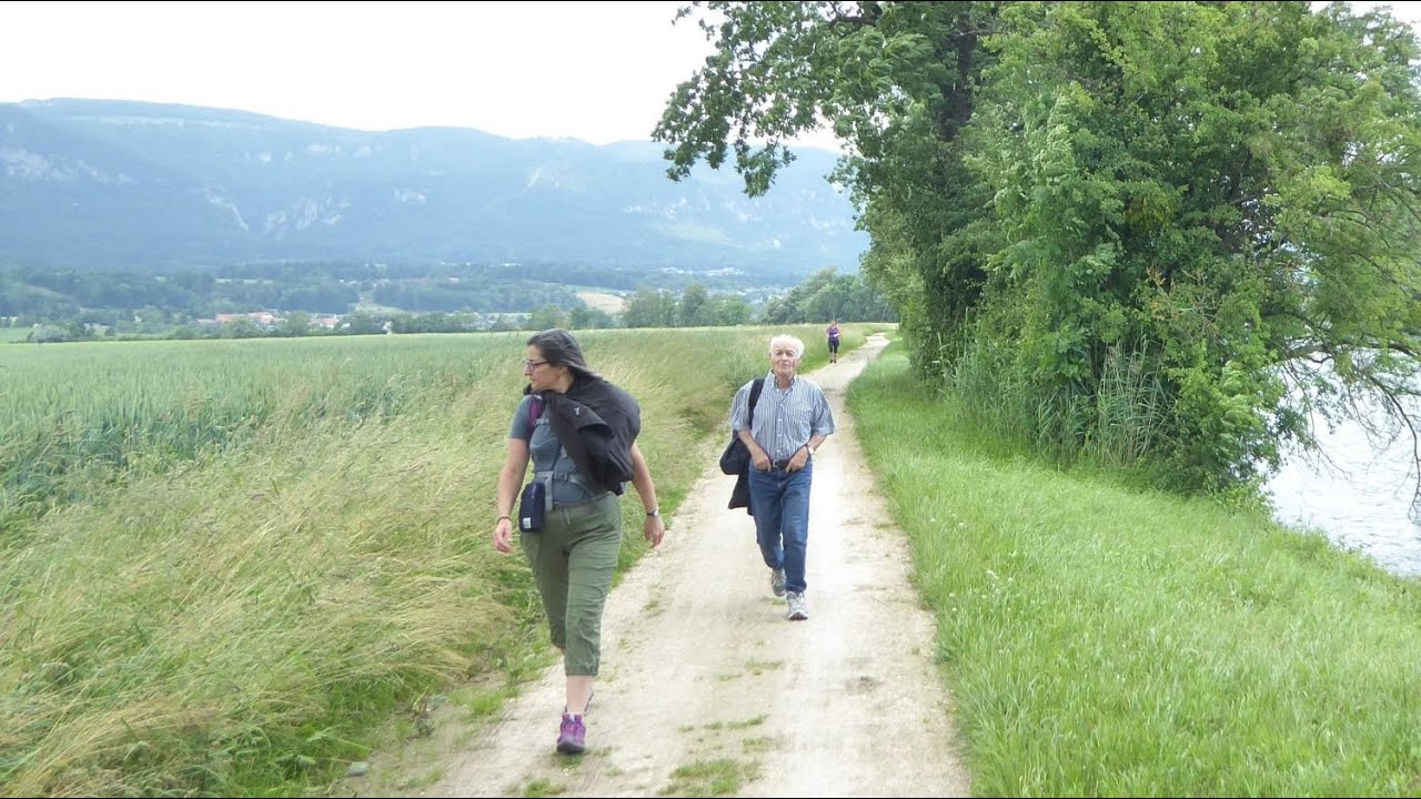 Bellach - Storchensiedlung Altreu (SO) / 08.06.25