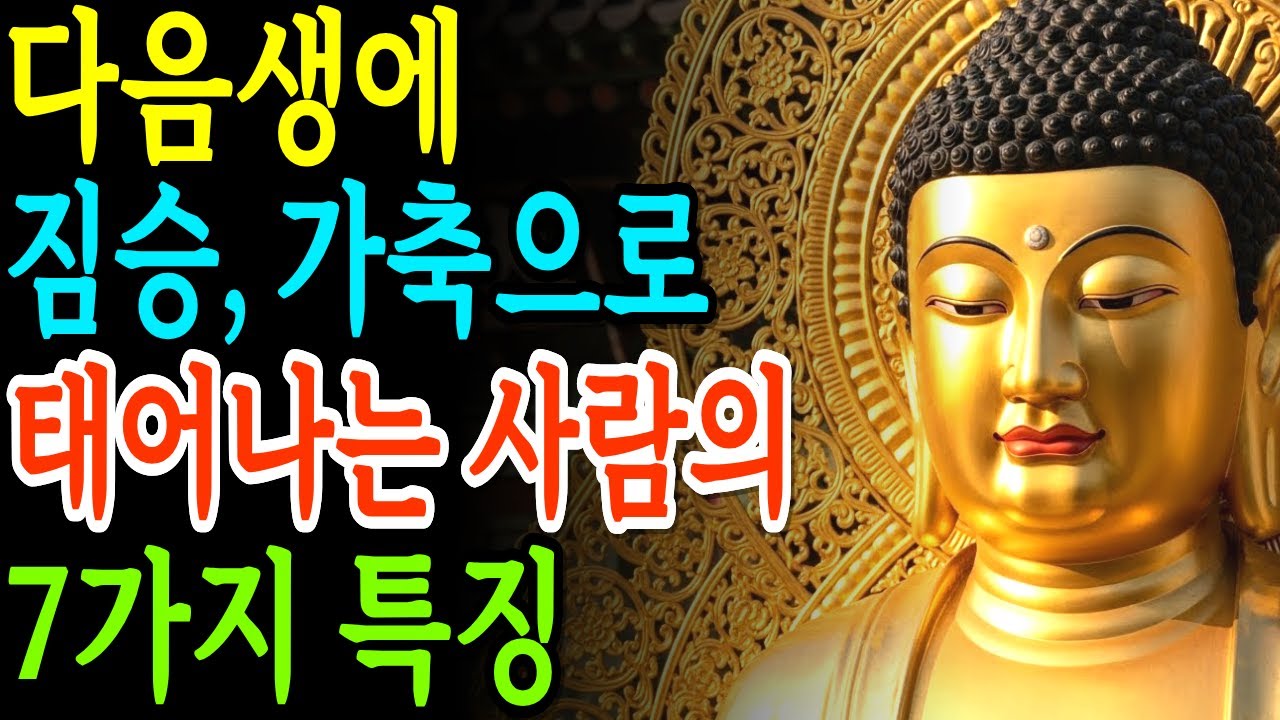다음생에 짐승 혹은 가축으로 태어나는 사람의 7가지 특징 | 부처님지혜 | 부처님말씀 | 석가모니명언 | 석가모니가르침 | 불교철학 |