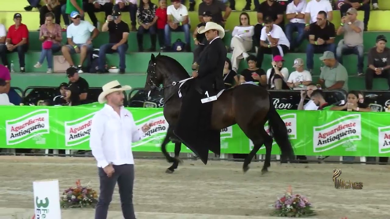ESTRELLA DE 2M, GRAN CAMPEONA TROCHA Y GALOPE EXPOSICION EQUINA LA VIRGINIA GRADO B 2026
