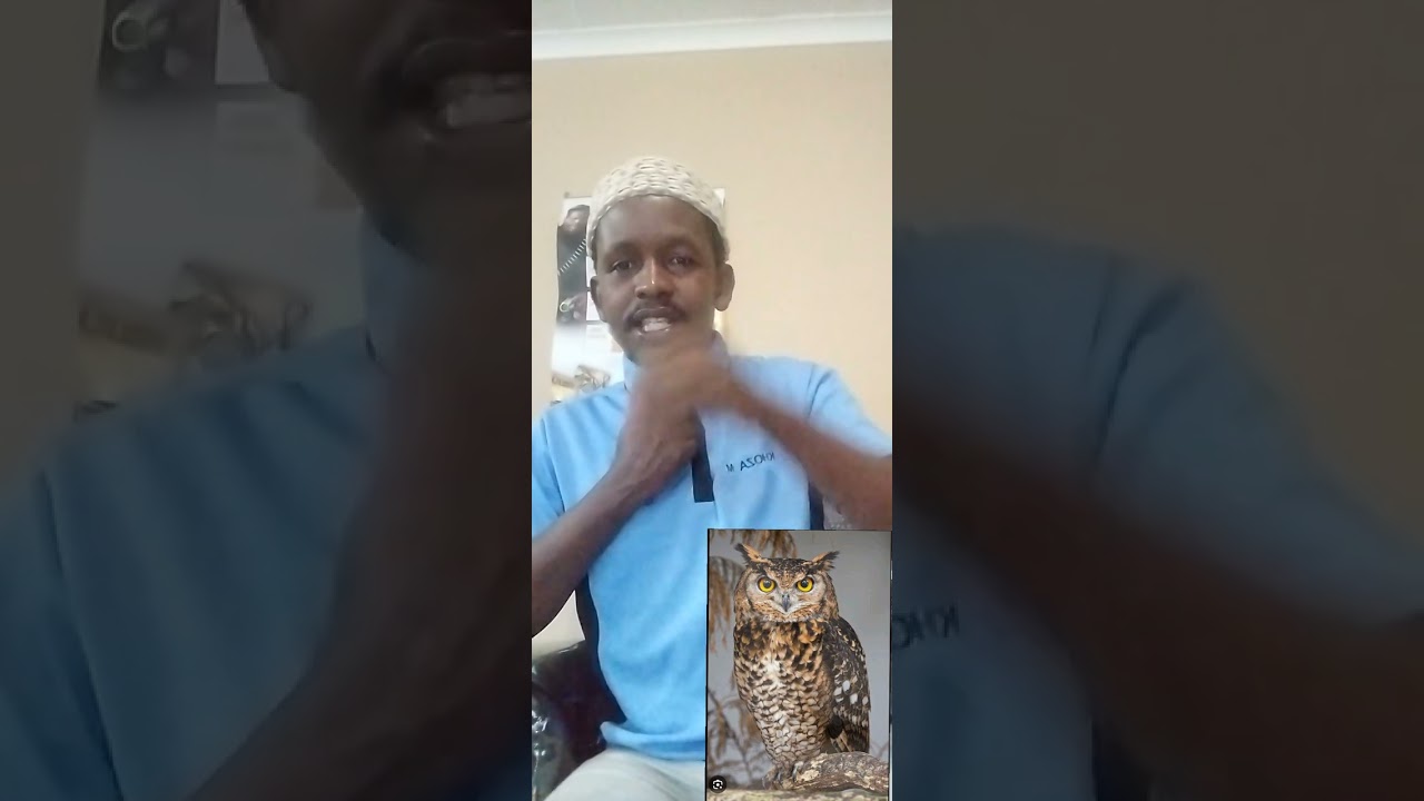 Qaphela isikhova ekhaya( Owl is dangerous) Mkhulu uKhoza eMpangeni| 0794410838