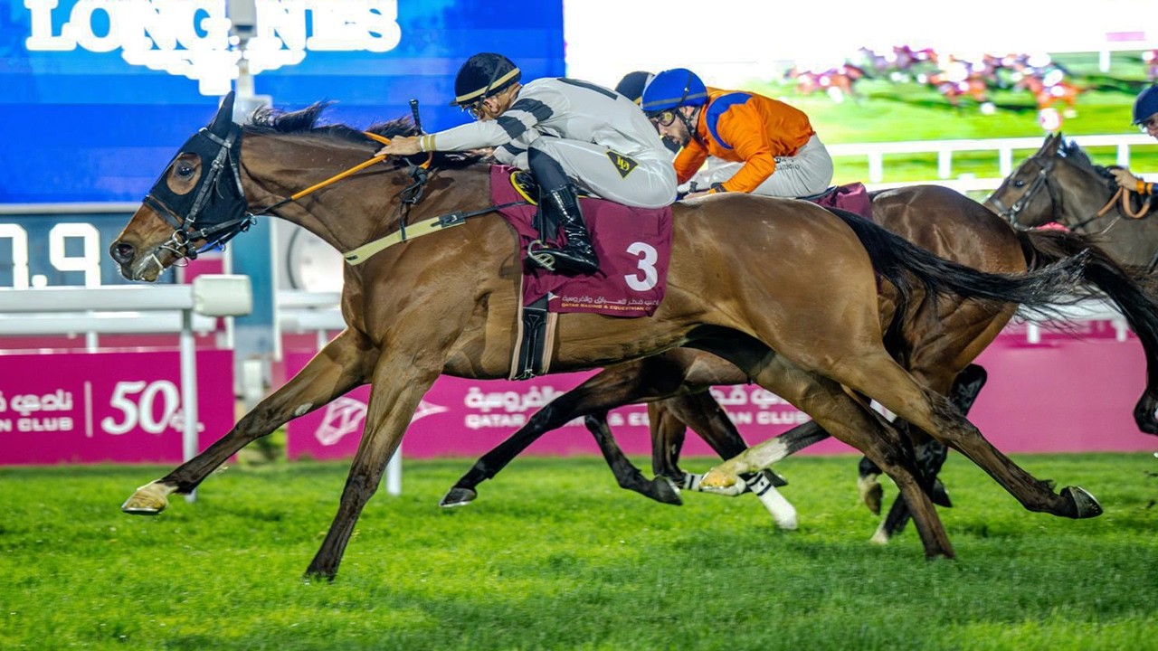 RM 56  Al Rayyan Race 6 - Al Wakra Cup