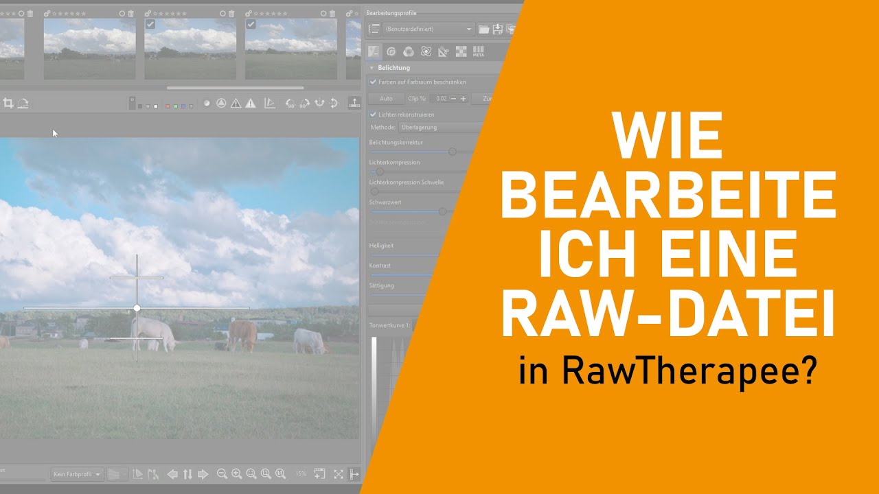 RawTherapee - Wie bearbeite ich eine RAW Datei?