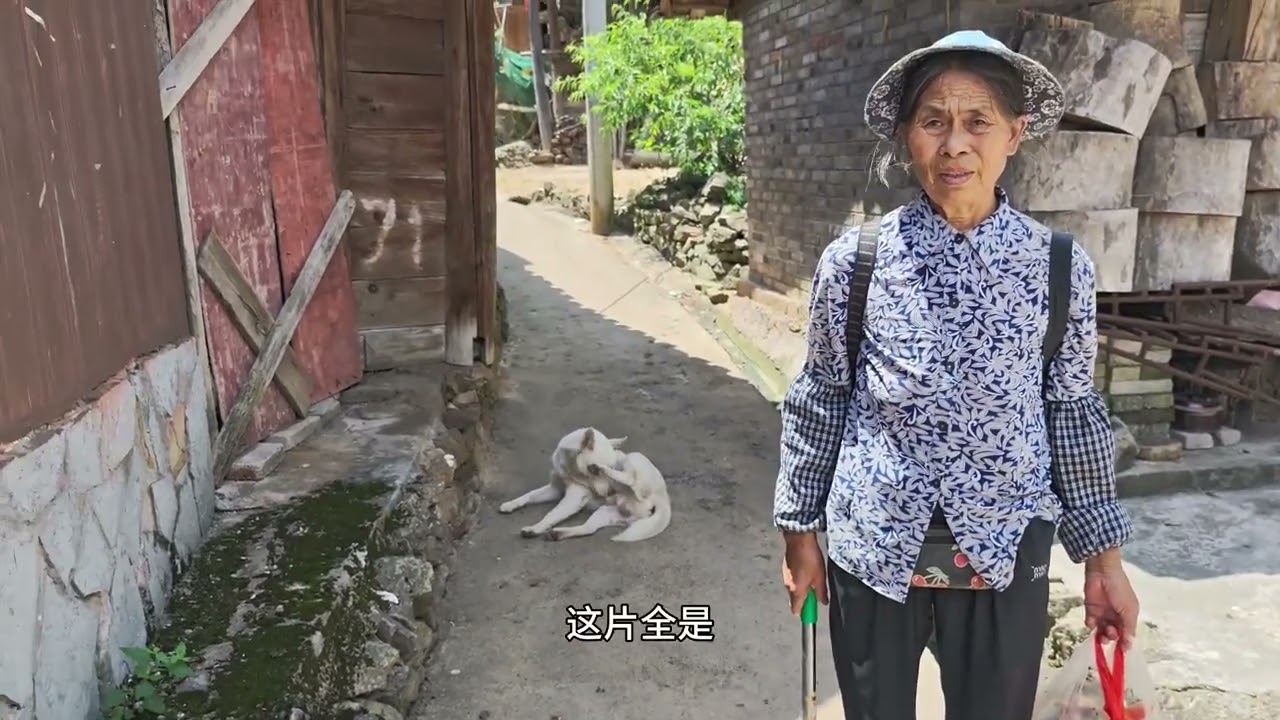坐贵州5639次公益慢火车到六个鸡，看看大山深处的畲族古村落 #vlog旅行记 #旅行 #去旅行 #旅游