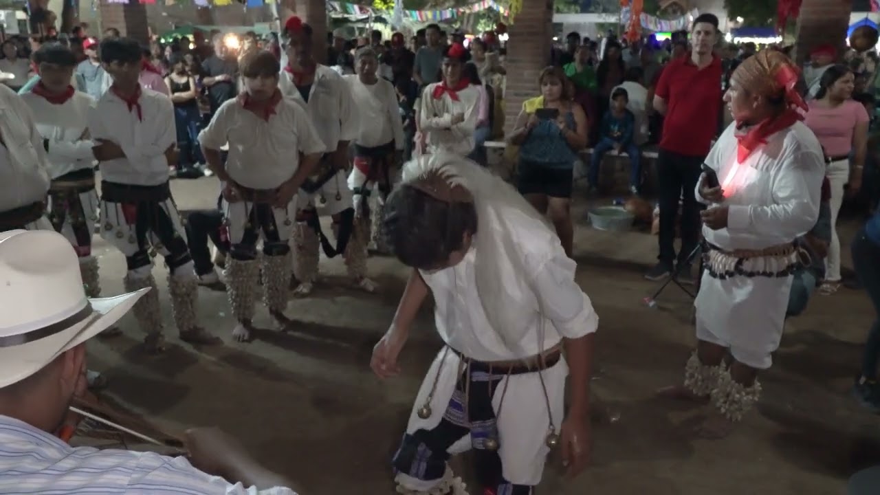 Dia de San Miguel Zapotitlan (Fiesta Yoreme)