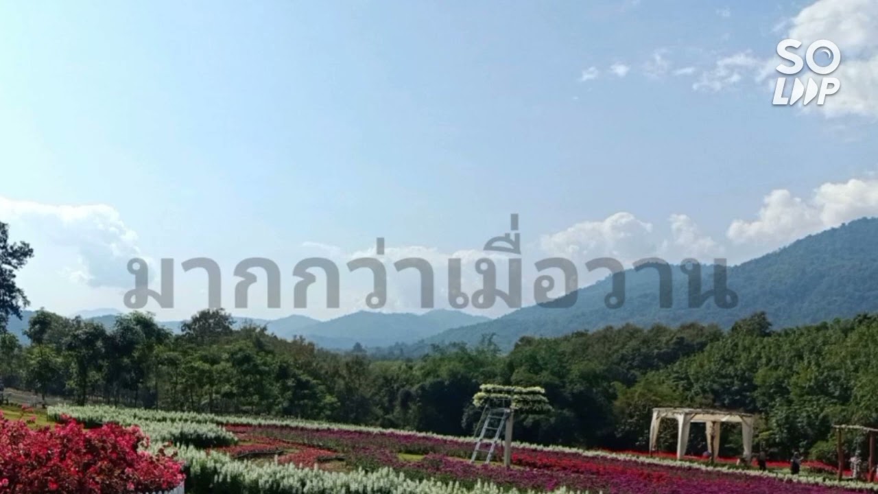 มากกว่าเมื่อวาน | Peace Worship | Cv.lu~mienh