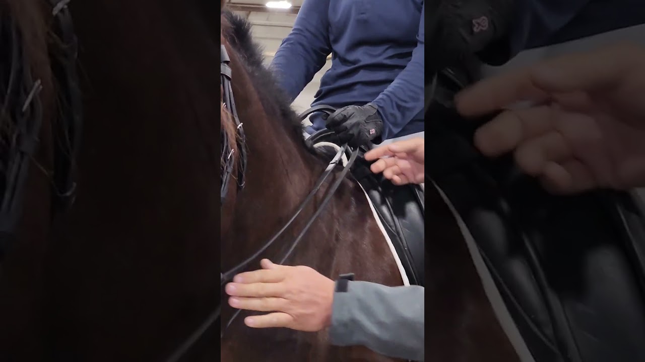 Double bridle reins, ways to hold