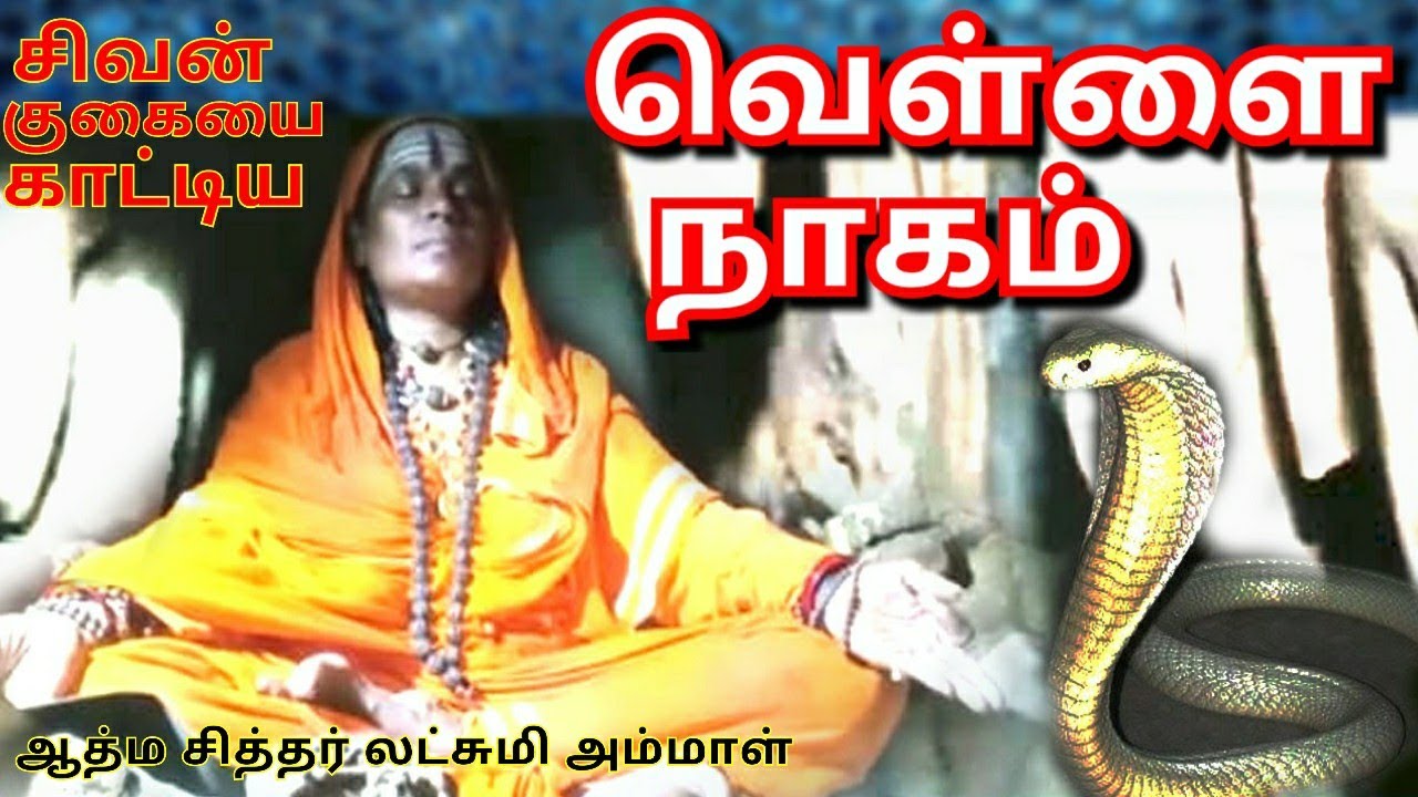 The white serpent that guided Siddhar to the meditation cave l Atma Siddhar miracle true incident