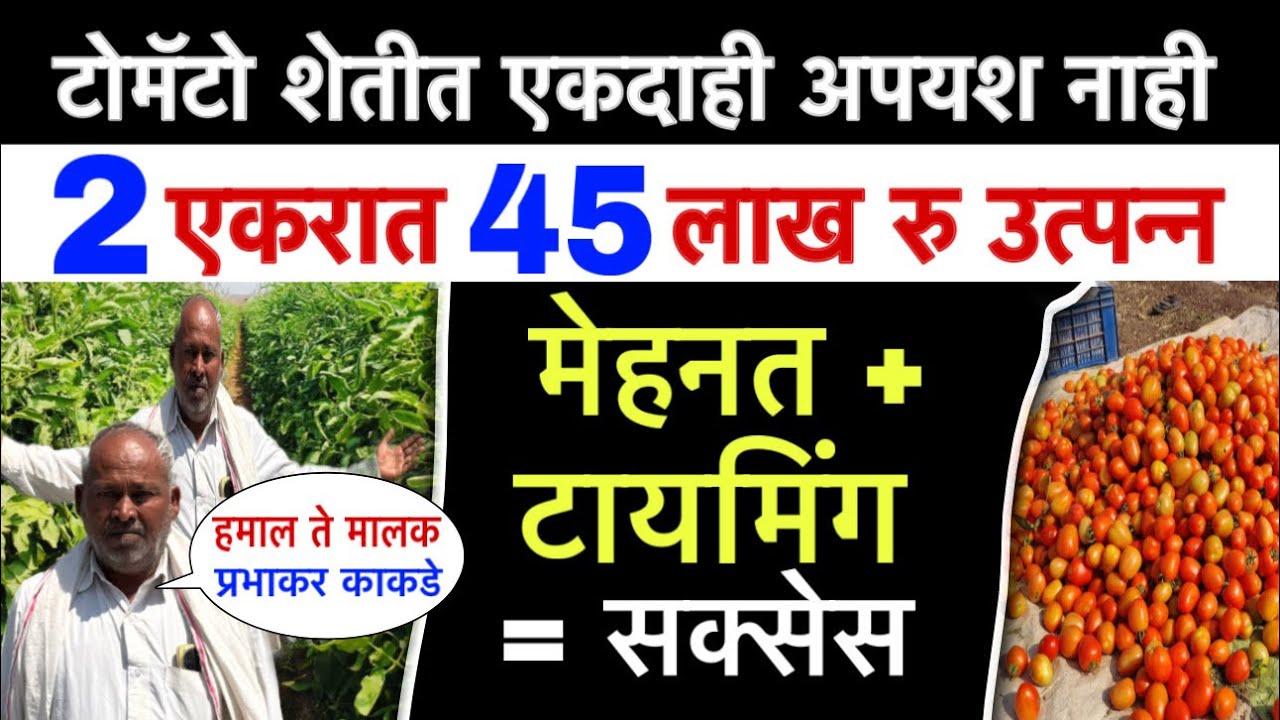 प्रतिकूल परिस्थित  विक्रमी उत्पन्न घेणाऱ्या शेतकऱ्याची यशोगाथा | Prabhakar Kakade | Dnyaneshwar Kha