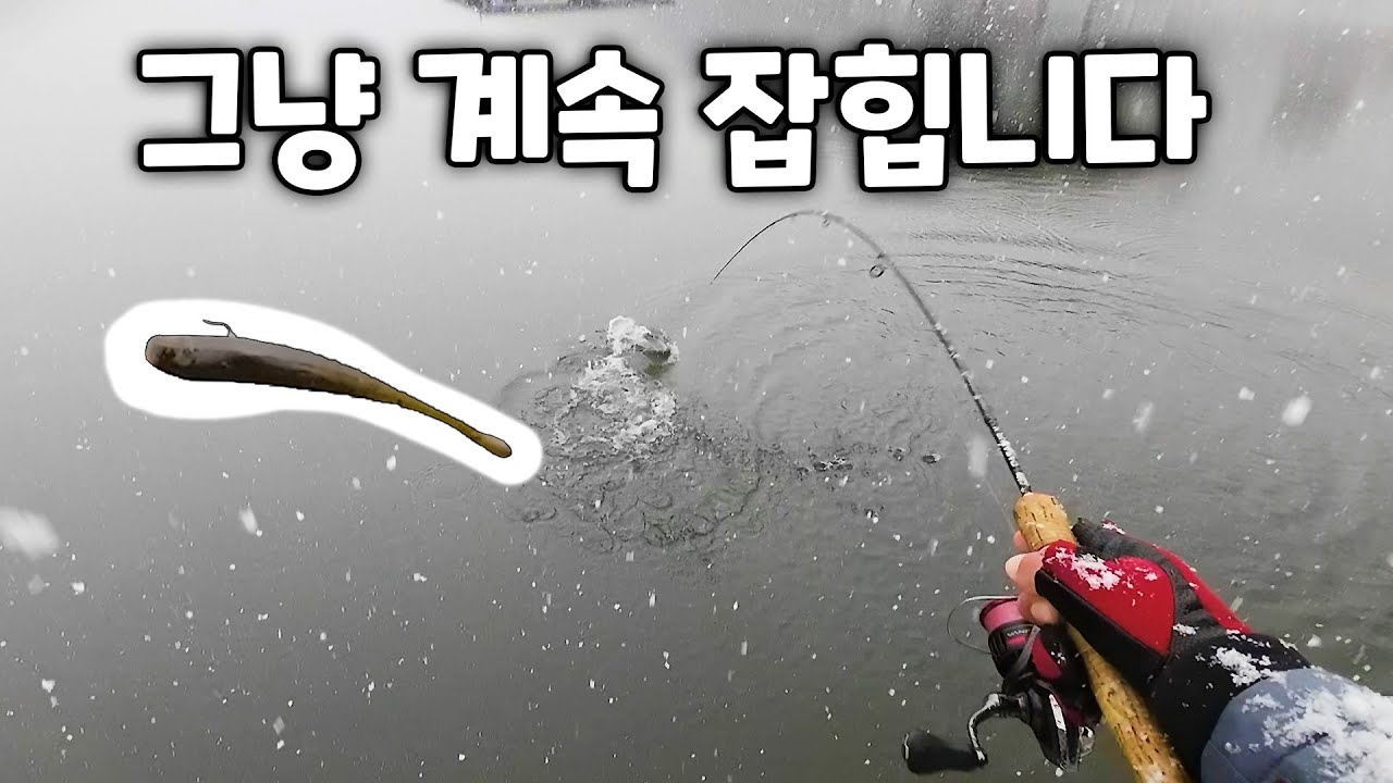 계속 잡히는 웜채비로 송어낚시 하는방법