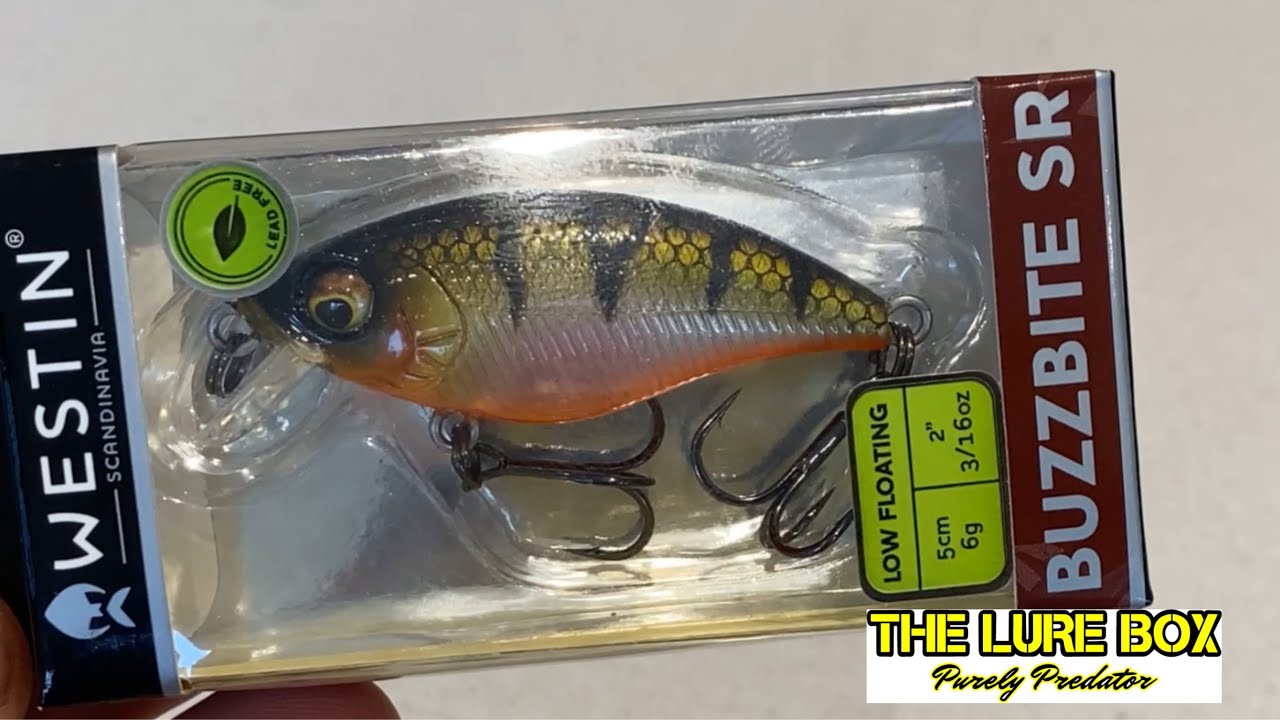 Westin Buzzbite SR - features & underwater footage #lurefishing #westinfishing #lurefishinguk
