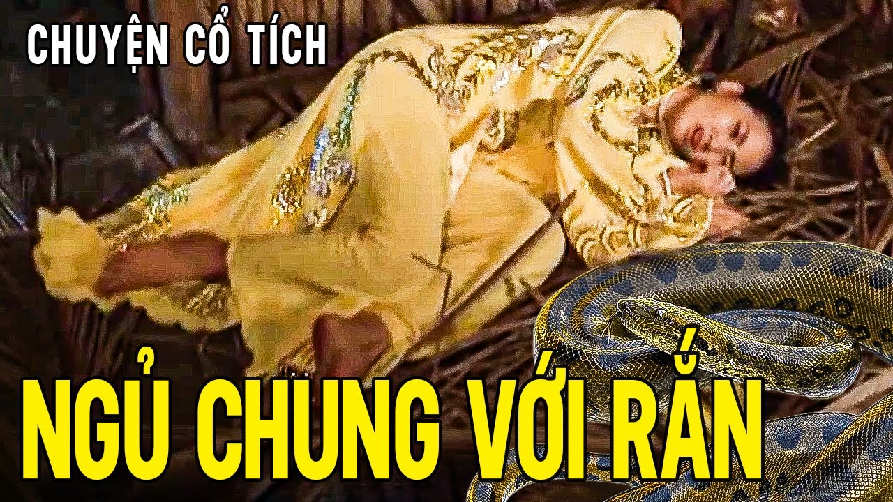 Cổ Tích Hay Nhất 2025 | NGỦ CHUNG VỚI RẮN | Phim Truyện Cổ Tích 2025 |Cổ Tích Việt Nam Mới Nhất 2025