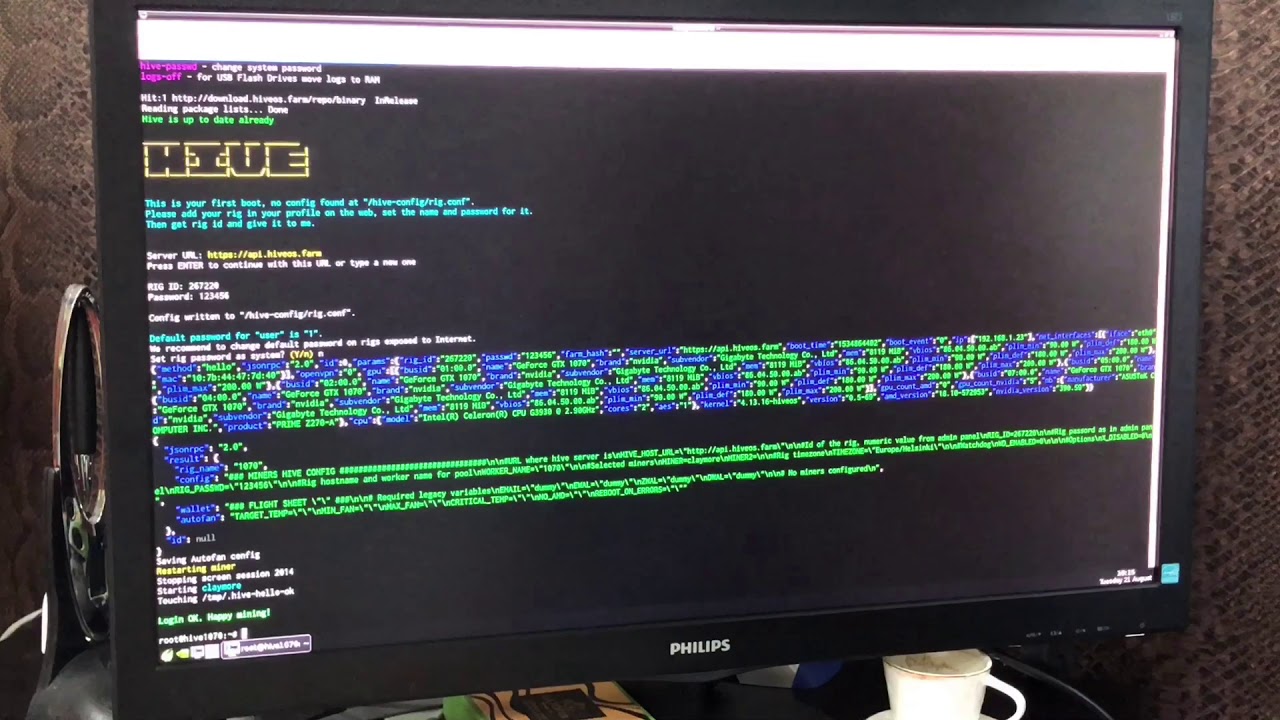 Hive 2.0 Запуск фермы по Rig_id на Nanopool. GTX 1070