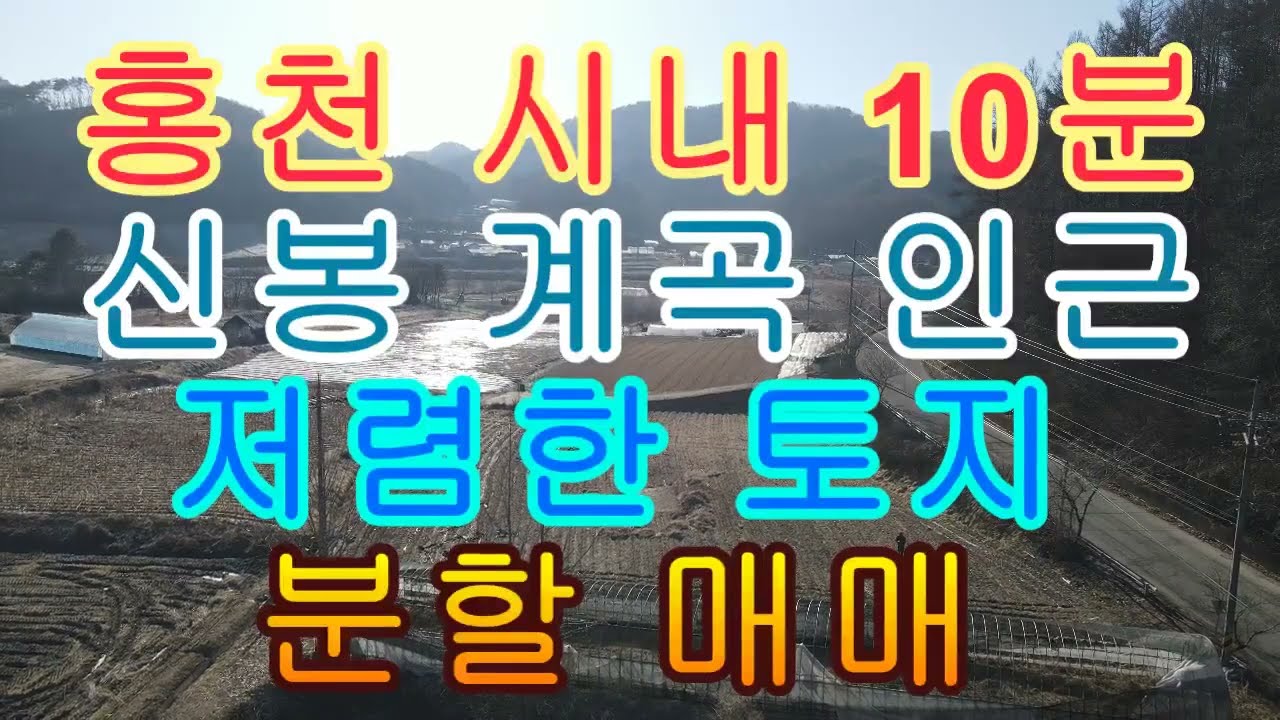 홍천 시내 10분 신봉 계곡 인근 저렴한 토지 분할 매매 660제곱 200평 4500만