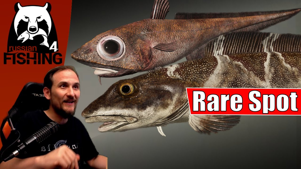 Russian Fishing 4 - Nordmeer - Esmarks Aalmutter bis Grenadierfisch