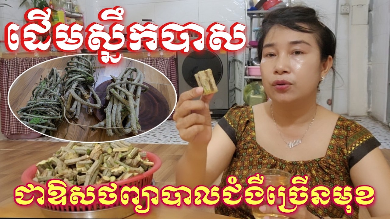 ដើមស្លឹកបាសជាឪសថព្យាបាលជម្ងឺច្រើនមុខ