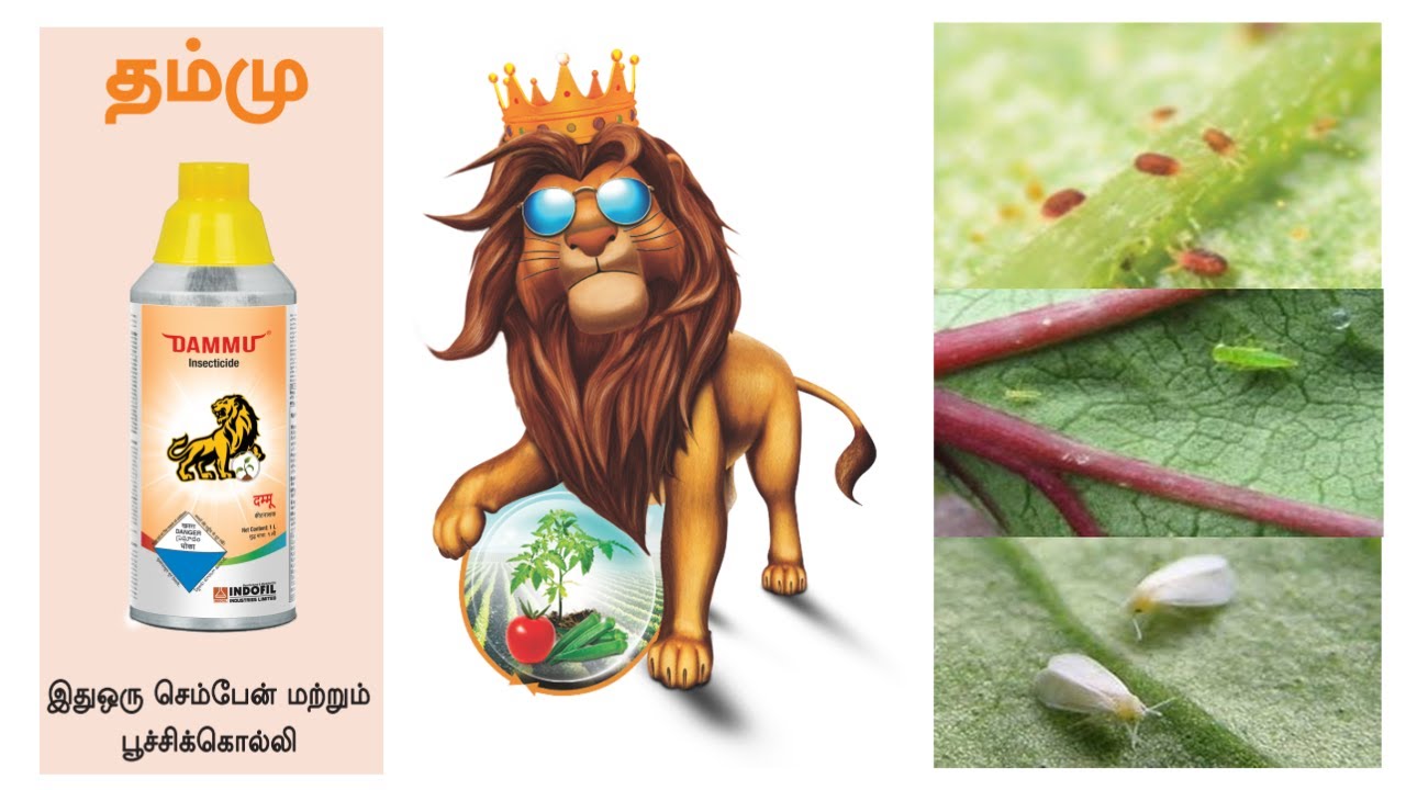 தம்மு II Dammu II செம்பேன் கொல்லி II Acaricides II சாறு உறிஞ்சும் பூச்சிக்கொல்லி II Insecticides