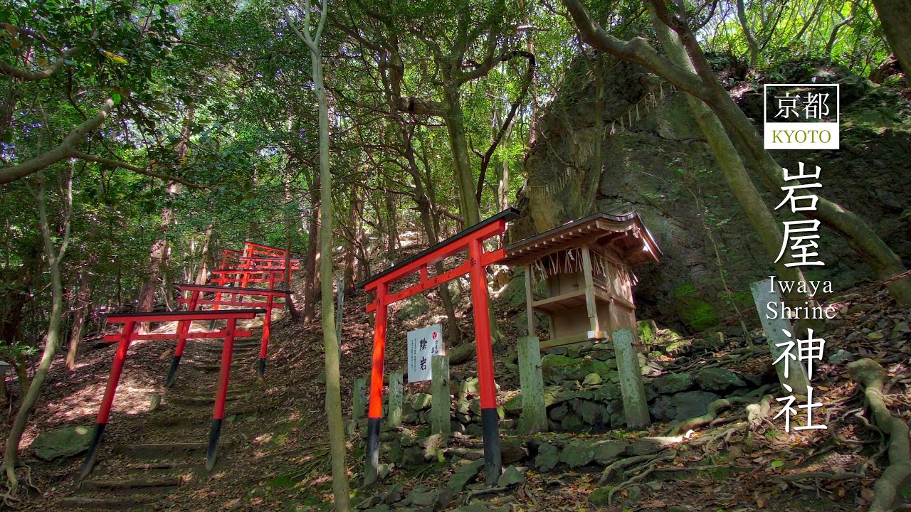 Iwaya Shrine | Sanctuary in the forest in Kyoto, Japan【4K】