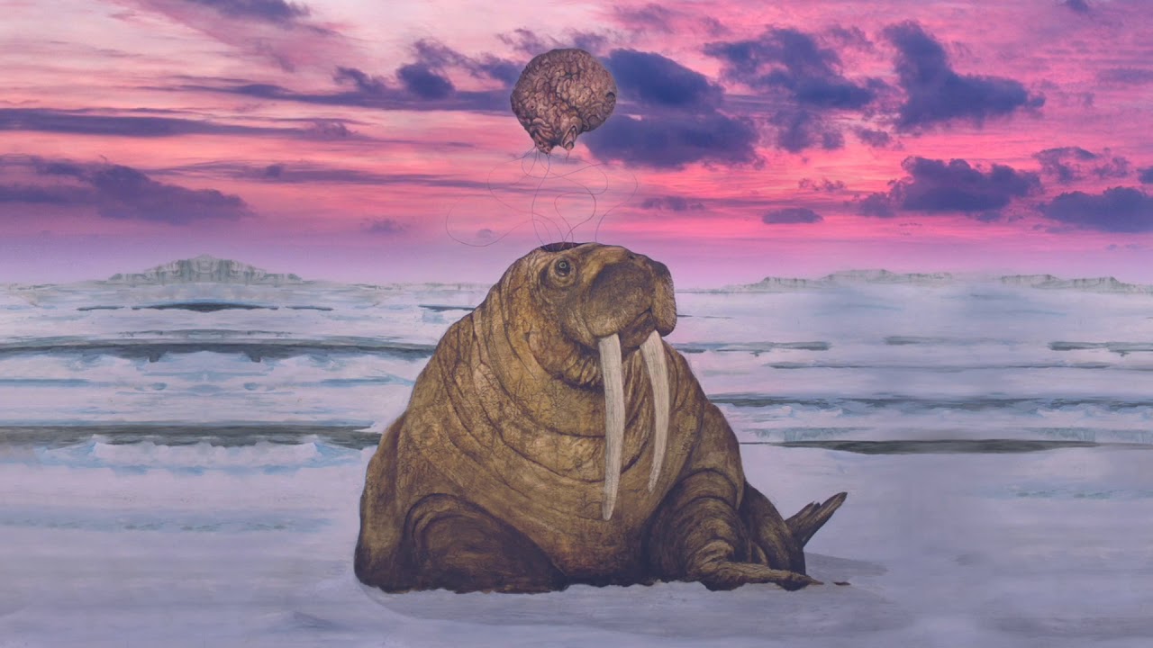 Tanya Tagaq - Submerged