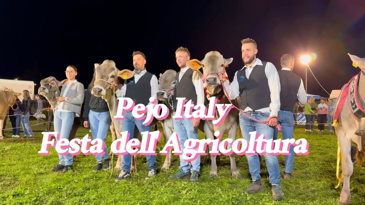 Festa dell'Agricoltura | Pejo Italy Ep.1 | Cows Rule! 🐮 