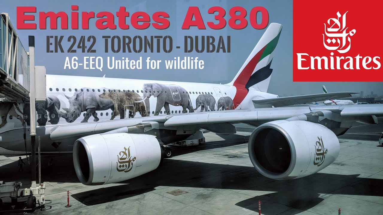 (4K) EK 242 | SUPER COMFORTABLE #emiratesairline #a380 12 hrs+ | TORONTO - DUBAI | #economyclass ✈️!