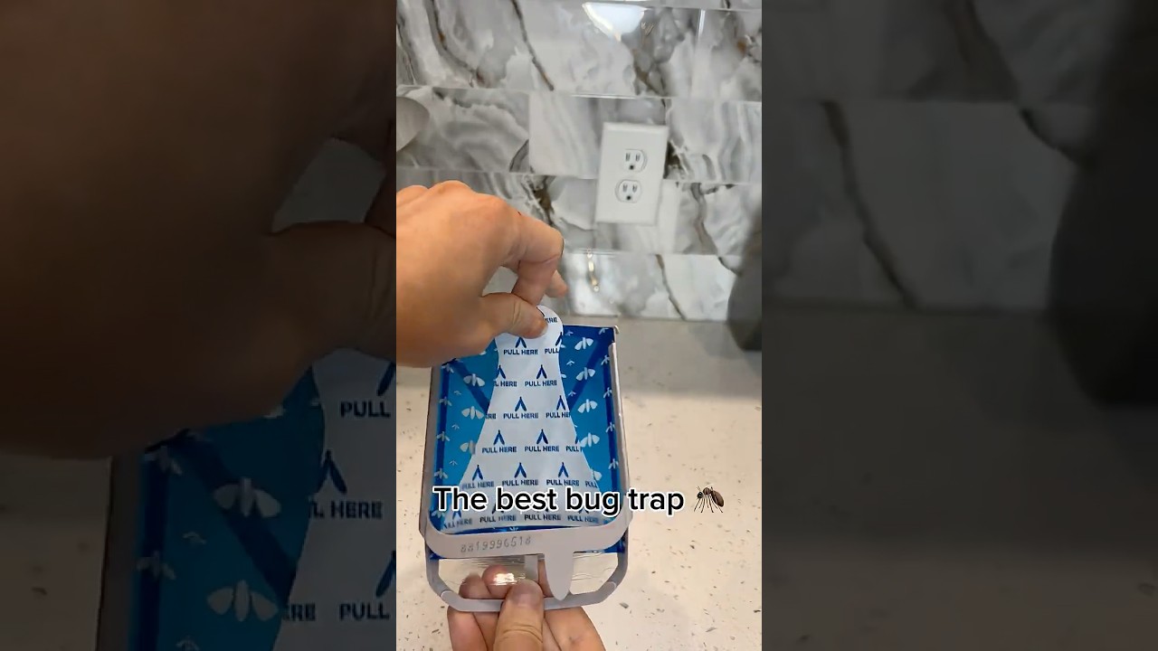Zevo is the best bug trap. We love it! Link to amazon  
