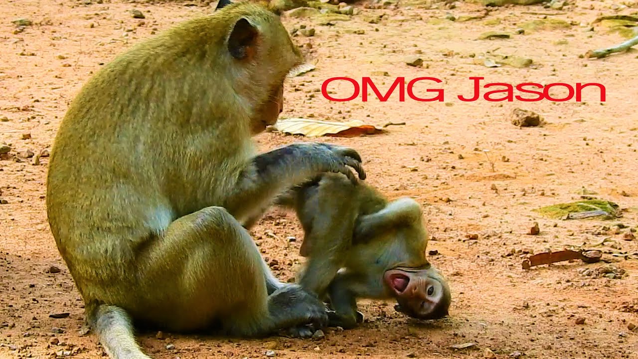 OMG! King Sankra Do like This To Small Baby Jason, Jason Is Very Strong Boy