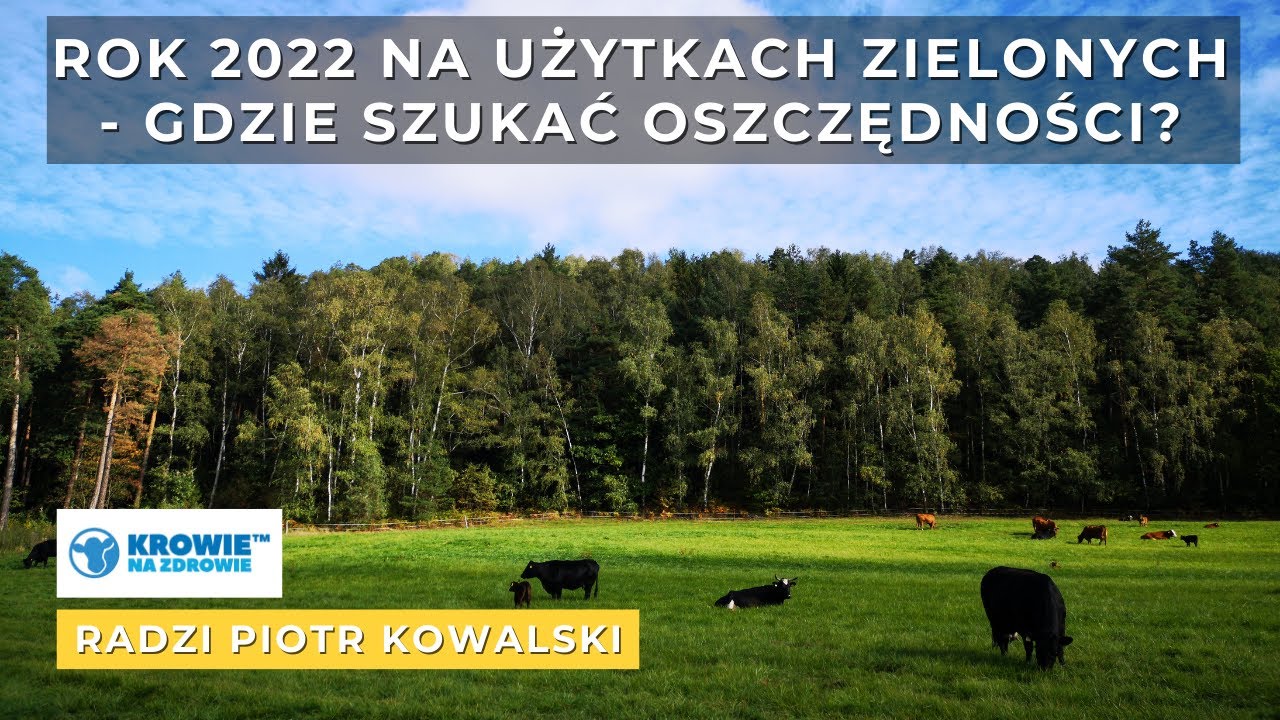Rok 2022 na użytkach zielonych. Gdzie SZUKAĆ OSZCZĘDNOŚCI❓ 💰| #KrowieNaZdrowie radzi