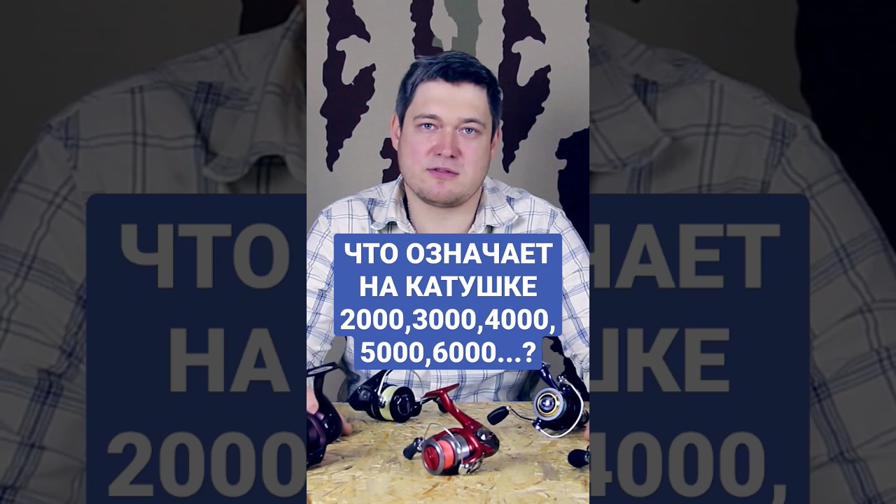 Классификация катушек по размеру #shorts #fvu #feeder #fishing #рыбалка #fishingvideoukraine