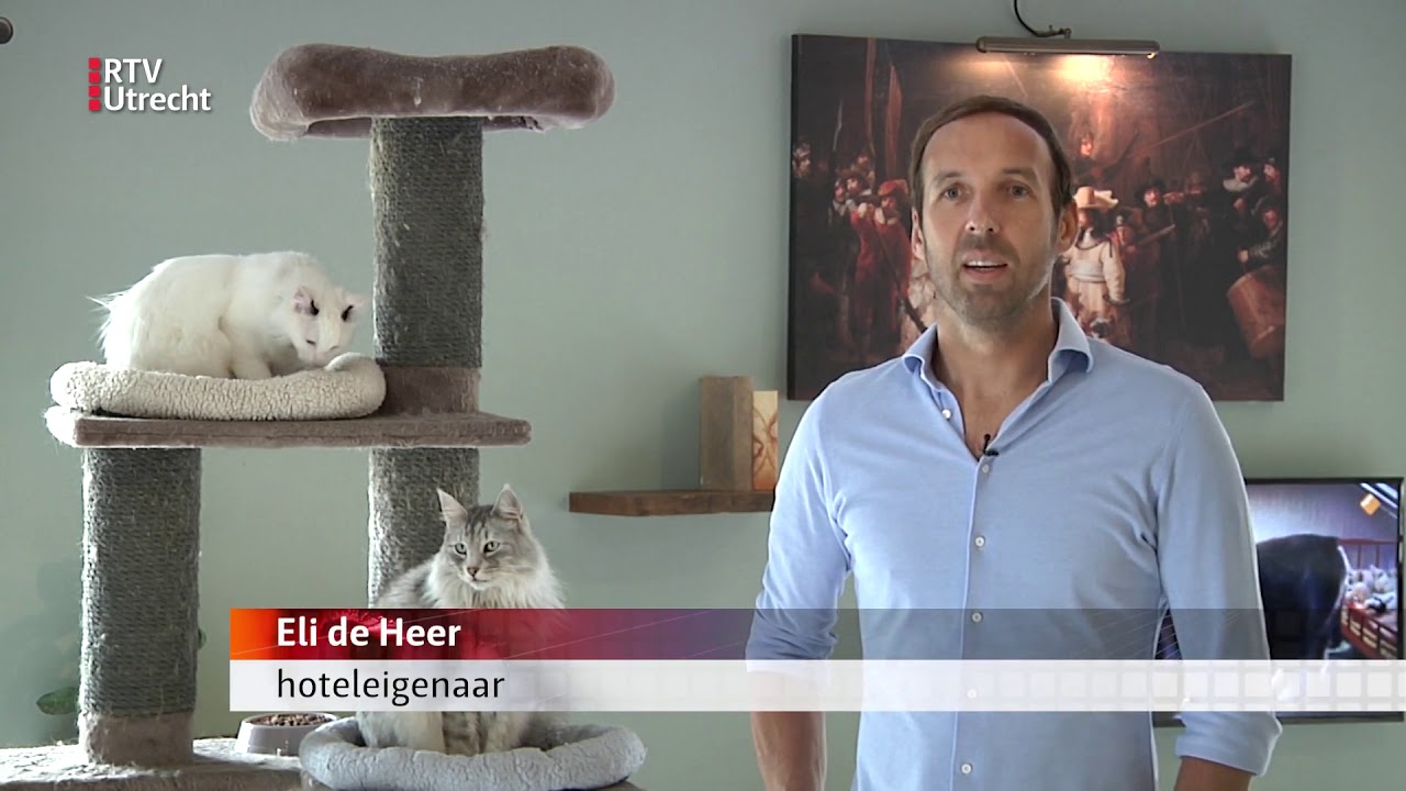 Luxe dierenopvang blijkt populair [RTV Utrecht]