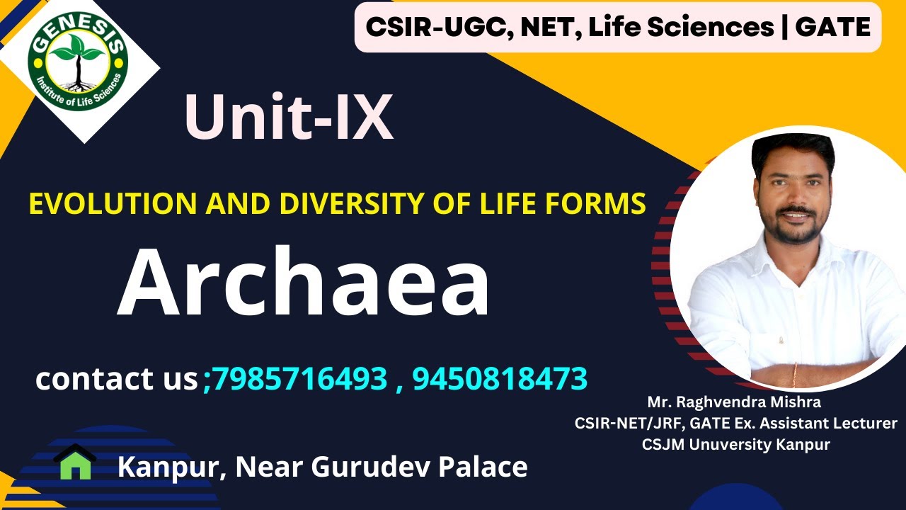 Archaea | Evolution & Diversity of Life Forms 
