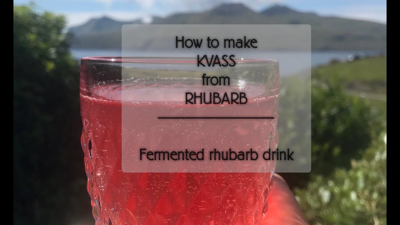 Fermented Rhubarb drink - KVASS from rhubarb NATURAL Recipe
