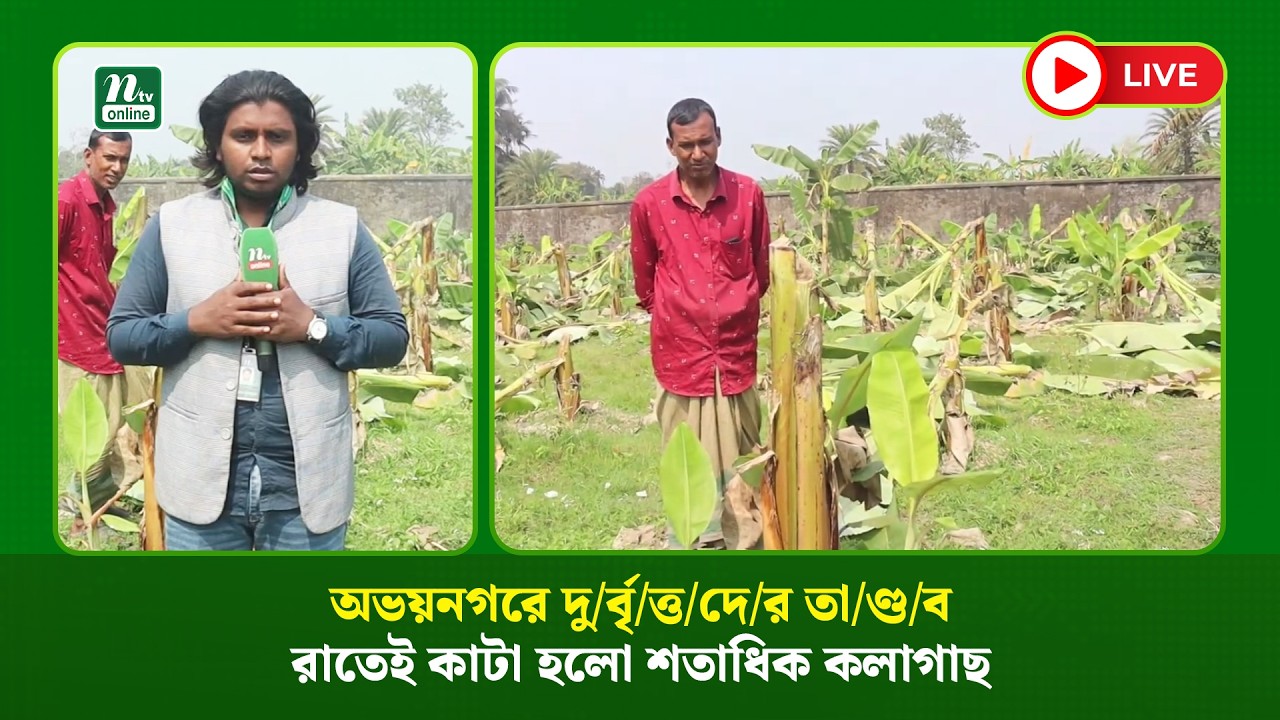 🔴 LIVE : অভয়নগরে দু/র্বৃ/ত্ত/দে/র তা/ণ্ড/ব, রাতেই কাটা হলো শতাধিক কলাগাছ