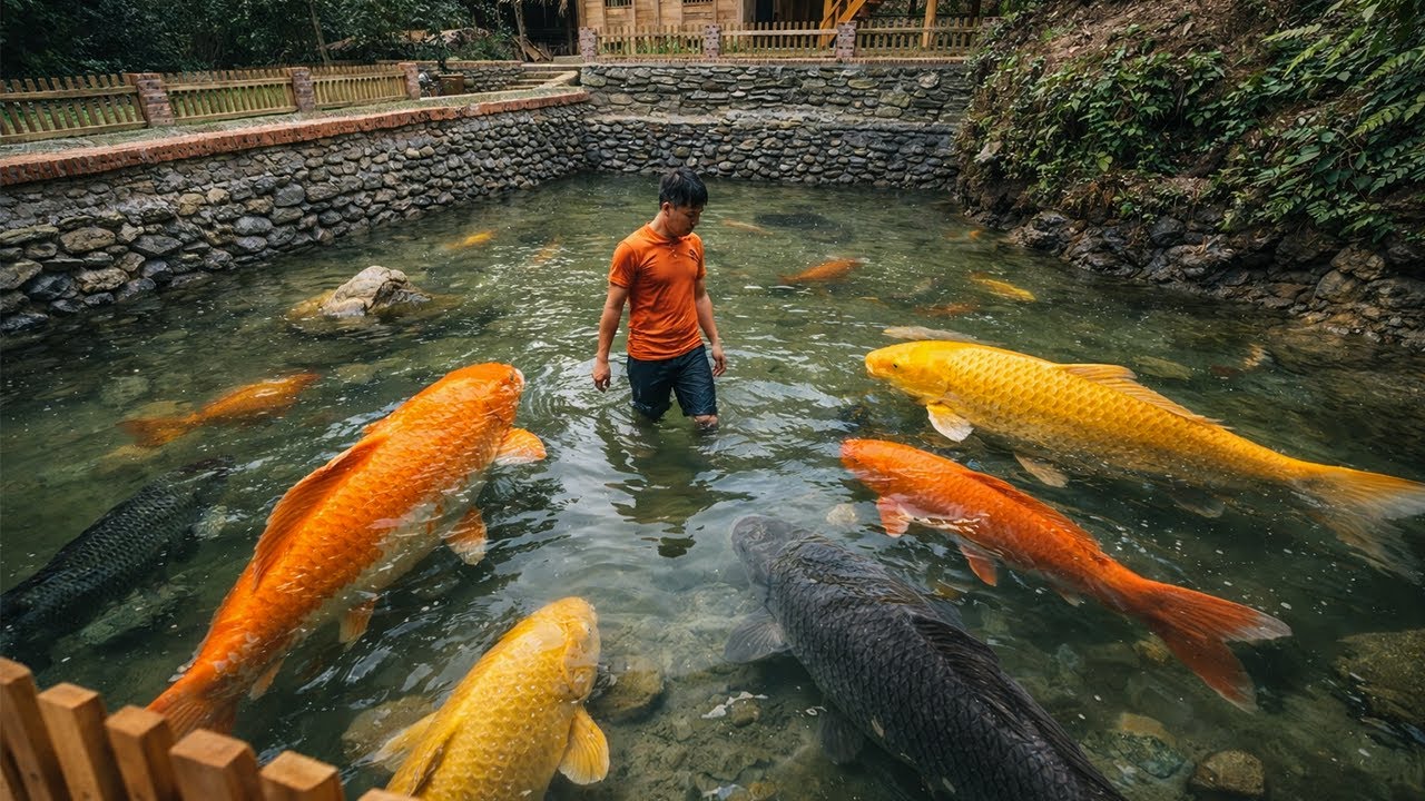 The Pond Is Finally Finished… Time to Welcome Its First Residents | by @chuctonbinh