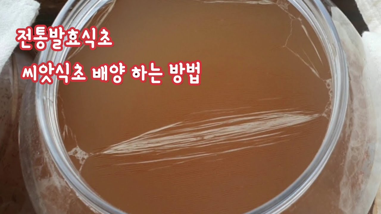 전통발효식초 만드는 법-1/  씨앗식초(종초 만드는 방법) 마트에서 판매하는 식초만 드시나요 /유기산이 풍부한 전통발효식초를 만들어서 드셔보세요/