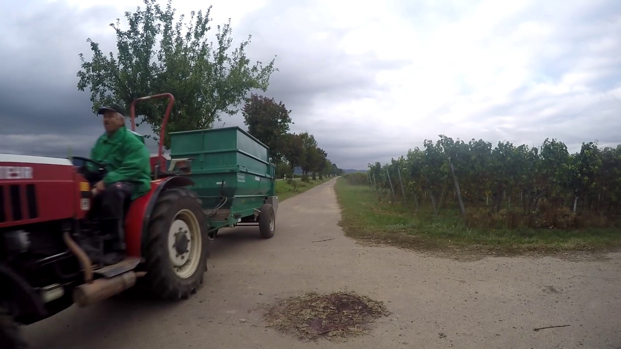 Steyer 8075 beim Trester ausbringen