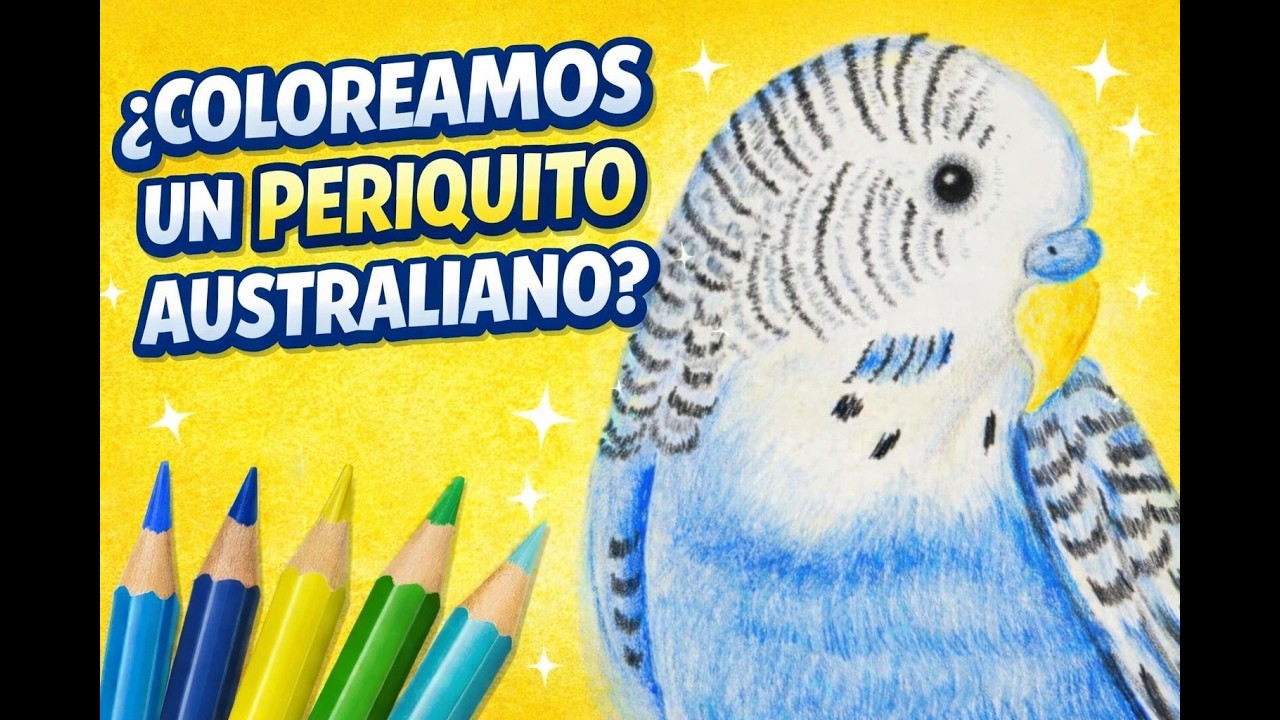 Coloreamos Periquito Australiano | Cómo Aplicar Color con Lápices Paso a Paso