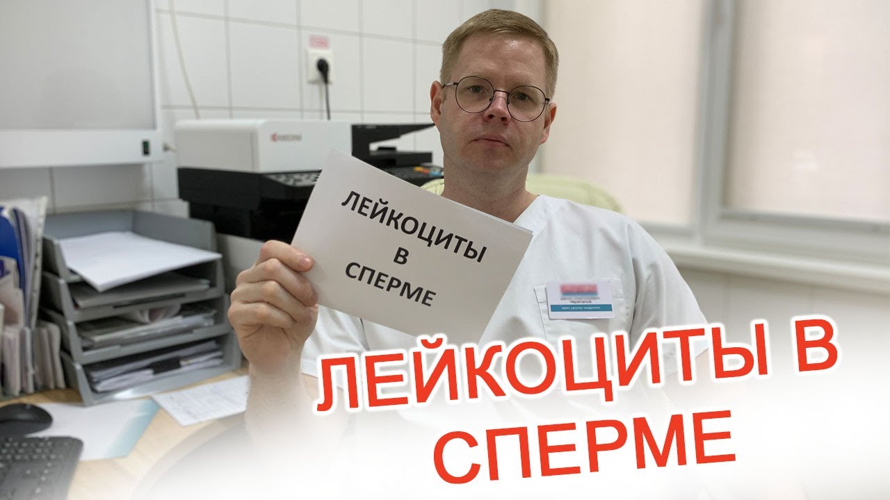 Лейкоциты в сперме / Доктор Черепанов