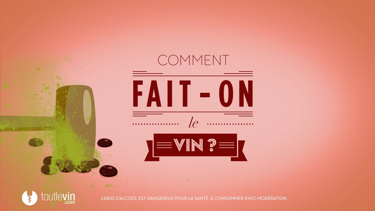 Comment fait-on le vin ? - toutlevin.com