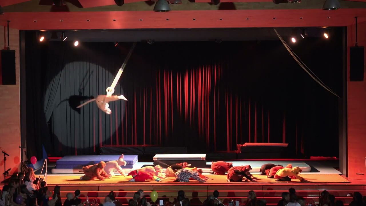 Turnerball der TS Wolfurt 2026 - Manege frei für den Cirque du Wolfurt
