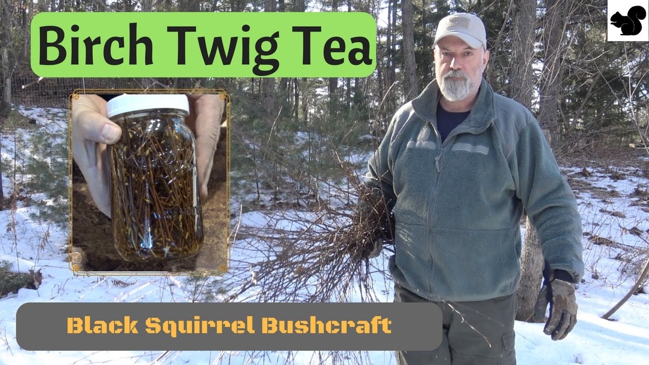 Birch Twig Tea