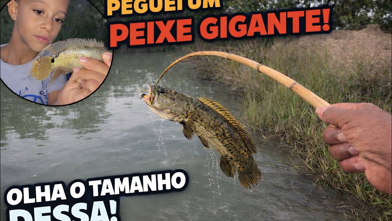 NESSA REPRESA QUE ESCONDE OS GIGANTES PRÉ HISTÓRICO 😱!!!