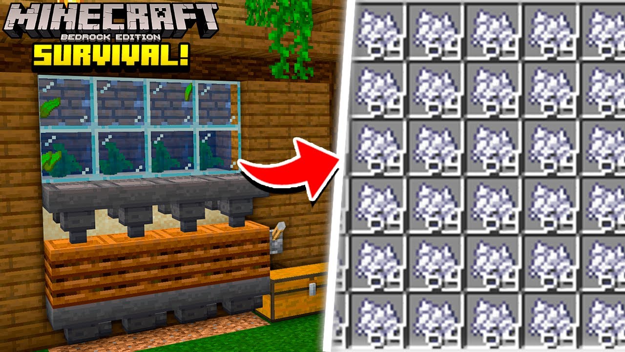 FARM de FARINHA de OSSO INFINITA - Minecraft Bedrock Survival! (#7)